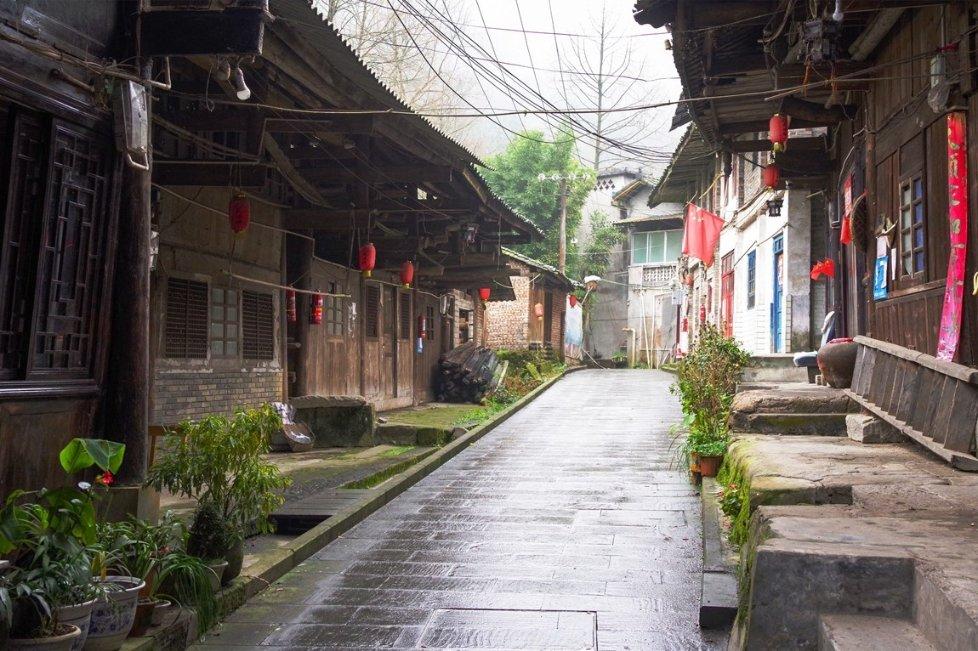 以学促干 | 以“红”托底 以“绿”为笔 绘就呈贡绿美交通画卷